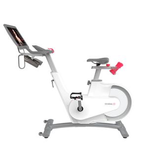 Купить Велотренажер Yesoul BV1-W PLUS в Любиме 